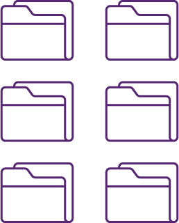 Proyectos transversales